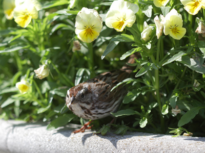 Some pictures you can prepare for, and others appear right in front of you and you just have to be ready.