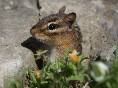 You just have to be ready.