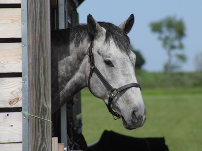 In stable condition.