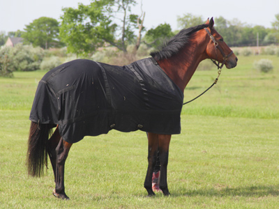 Chomping at the bit.