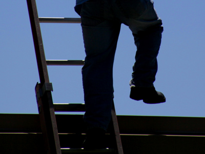 The only two-legged creature in today`s photos.