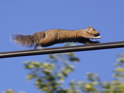 We were both on our way to work.