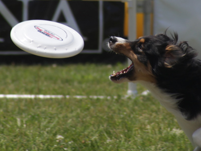 Don`t try to take it away from him.