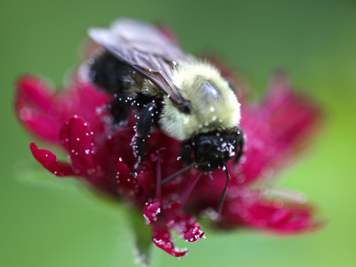 Would you like sprinkles with that?