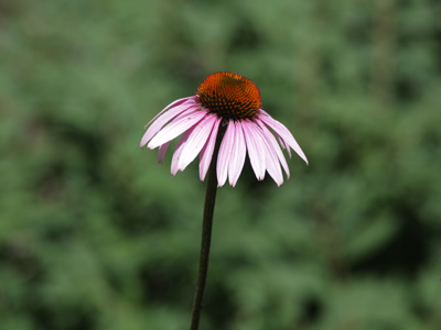 One is the loneliest number.