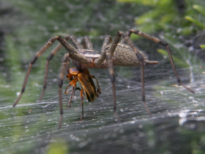 Breakfast is the most important meal of the day.