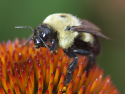 And then it started raining and I got wet.