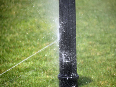 Many landscapers underestimate the importance of lamppost irrigation.