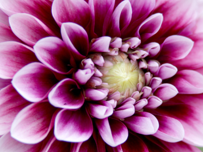 At the center of things.