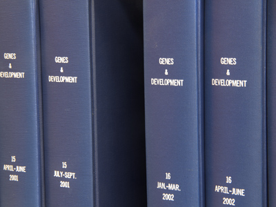 Missing man formation.