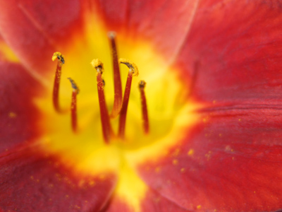 A mirror to the sun.