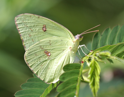For me, this is a long-distance shot.