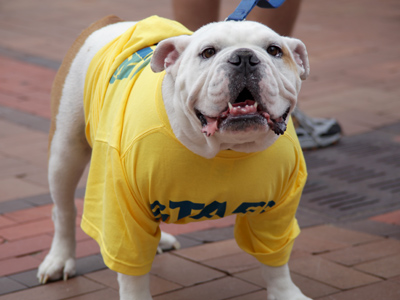 `Don`t hate me because I`m beautiful.`