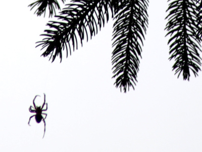 Don`t look up.  You may not like what you see.