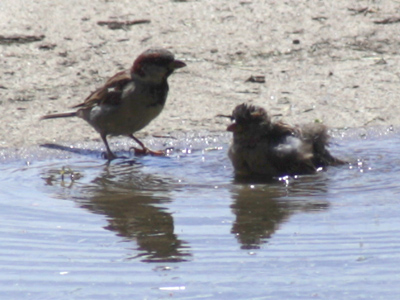 `Don`t forget sunblock.`