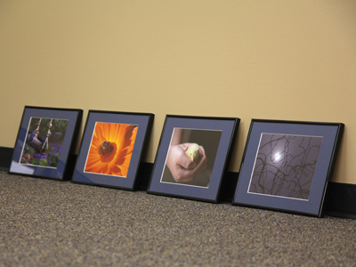 When they`re sitting on the floor, my pictures are nice and straight . . . 