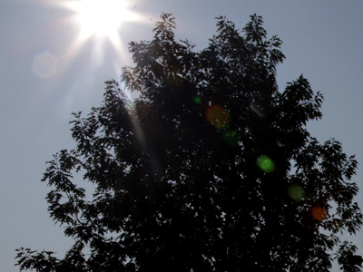 Never point your camera at the sun.  And when you do, close the aperture to create little geometric shapes.