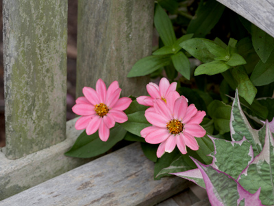 Be careful where you sit.