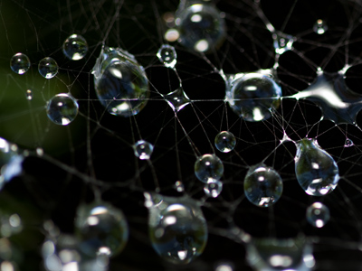 Do you like my new web site?