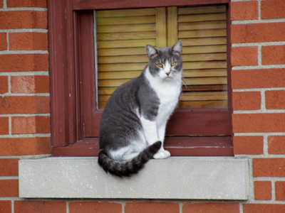 One wonders, not just HOW, but WHY?