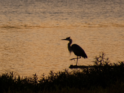 You can`t really tell from my pictures that I`m a city boy.