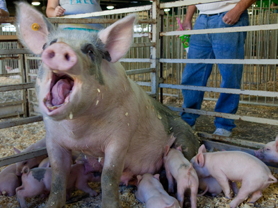 `You ARE NOT going to leave me home while you go out with the boys.  These children need their father!`