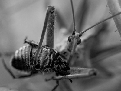 And how was YOUR lunch?