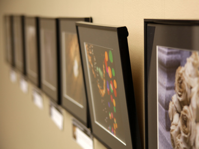 Atrophy in an art gallery.  Come see my pictures before they all fall off the wall.