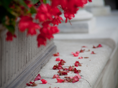 A single fate awaits us all.