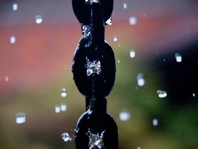 Taking refuge from a downpour.