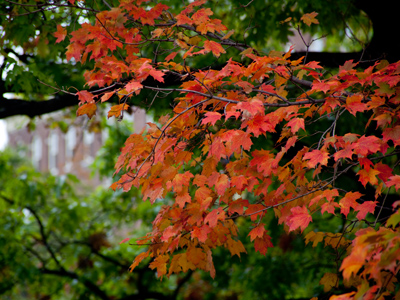 I have nothing against fall -- it`s just what it leads to that bothers me.