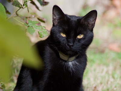 Scorn or curiosity?  It`s hard to judge.