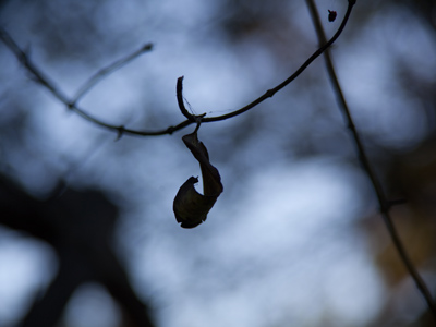 A foretaste of winter.