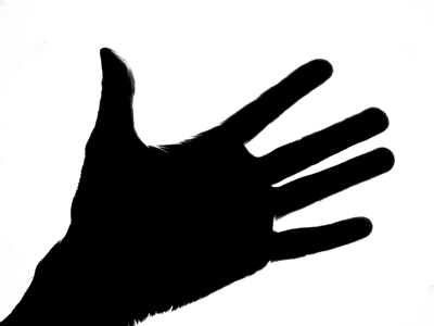 What`s in my pocket?