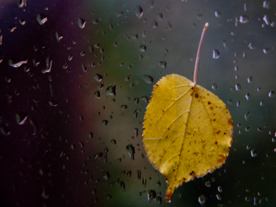 A momentary pause in the passage between life and death.