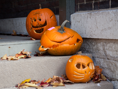 Two pumpkins and one squash.