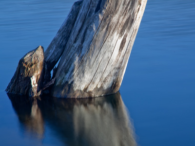After voting for the MetroParks levy, I went to a MetroPark.
