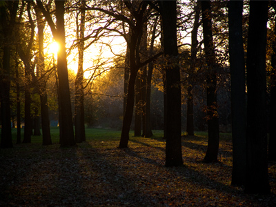 There are things to be learned out here that can`t be discovered indoors.