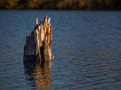 Without the thin band of shoreline near the top, this picture would have a totally different feel.
