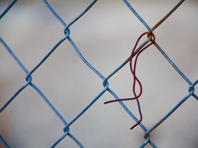 If anyone observes me taking pictures, they probably assume I`m a threat to homeland security.