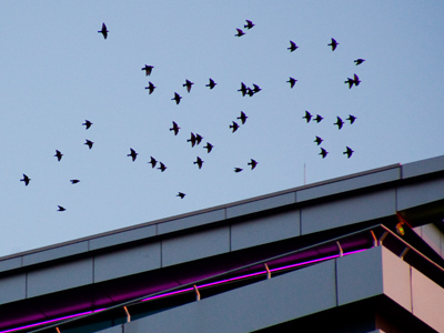 This picture comes close to breaking one of my rules:  `Make sure it`s very clear what the picture is about.`