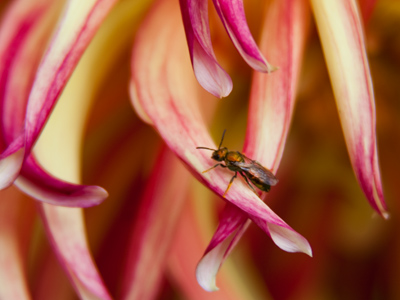 I was being observed as I took this, but the person (a photographer) had the sense to wait before speaking.