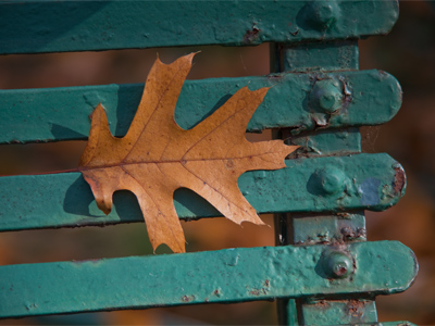 Symbols, symbols blowing in the wind:  the certainty of death, the promise of renewal.