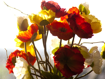 Fake flowers in an office window.