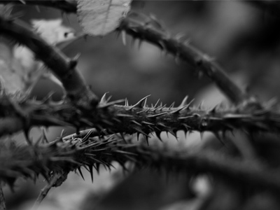 Reminds me of some people I know.