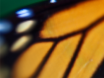 So I decided to be a good environmentalist and do some recycling.  I took NEW pictures of OLD ones on a monitor.