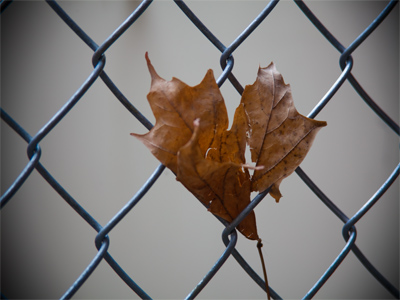 I am trapped in the transition of the seasons.