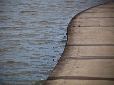 The river current runs west (toward the camera), but the wind was blowing so hard the water was chopping east.