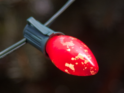 The bulb of Christmas past.