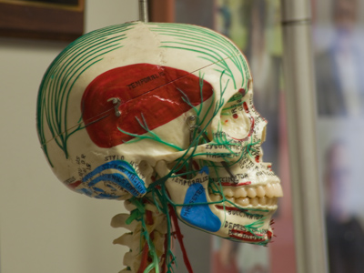 Early experiments by the invisible man were only partially successful.